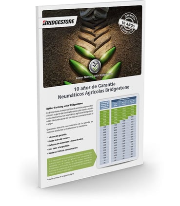 10 años de garantía neumáticos Bridgestone
